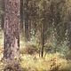 Фазан в сосновом бору. Картины. Илья, Магия красок (magicofcolour). Ярмарка Мастеров.  Фото №5
