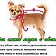 Вязаный комбинезон для собак. Одежда для питомцев. Lucky Clover. Ярмарка Мастеров.  Фото №5
