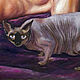 Oil painting 'Cat'. Pictures. Andrej Smolenskij. Kartiny (andreysmolensky). Ярмарка Мастеров.  Фото №4