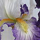 Order Irises-bouquet ' Lilac clouds'. Marina Zhadan. Livemaster. . Flowers Фото №3
