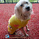 Sweater for a beloved pet. Pet clothes. Irennovikova. Online shopping on My Livemaster.  Фото №2