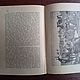 Винтаж: Географические описания, 1895 г., на шведском языке. Книги винтажные. 'Лавка древностей'. Ярмарка Мастеров.  Фото №4
