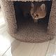 Order Round house for dogs and cats to buy.Order in size. Workshop for dogs and cats. Livemaster. . Pet House Фото №3