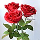 Розы, Цветы, Сорочинск,  Фото №1