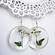 Transparent Earrings with an Annual plant of the Umbrella family Eco Boho, Earrings, Taganrog,  Фото №1