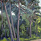 Oil painting. Pine. The Curonian spit. Landscape, Pictures, Zhukovsky,  Фото №1