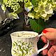 Винтаж: Чайная чашка «Январь» Royal  Albert, Англия, Кружки винтажные, Арнем,  Фото №1