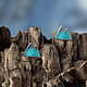 Order Mountains, Posey earrings made of silver with enamel. Trinkki. Livemaster. . Stud earrings Фото №3