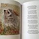 Авторская подарочная книга (стихотворения) с авторскими иллюстрациями. Подарочные книги. РАЗНОЦВЕТНЫЙ МИР (Татьяна). Ярмарка Мастеров.  Фото №6