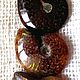 Ammonites (ancient molluscs) Madagascar. Cabochons. Stones of the World. Online shopping on My Livemaster.  Фото №2