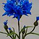 василёк. Цветы. Fleurina. Ярмарка Мастеров.  Фото №4