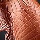 Crocodile skin, whole skin, belly, width from 23 to 55 cm, Leather, Moscow,  Фото №1