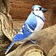 Interior toy 'Blue Jay', Felted Toy, Moscow,  Фото №1
