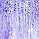 «Глициния» - картина маслом на холсте с цветами глицинии 60/80. Картины. ALICE WOOD   художник. Интернет-магазин Ярмарка Мастеров.  Фото №2