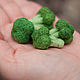 Order broccoli. Romanycheva Natalia. Livemaster. . Miniature figurines Фото №3