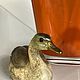 Grey Neck duck, Malevolti, Italy. Vintage interior. Dutch West - Indian Company. Online shopping on My Livemaster.  Фото №2
