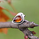 Order Ring silver Bird Robin, Baltic amber. dikoobraz. Livemaster. . Rings Фото №3