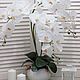 Орхидеи разных цветов 3 веточки, Композиции, Ставрополь,  Фото №1