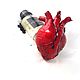 Copy of Copy of Anatomical heart. Souvenirs by profession. Felisiti (anatomicalheart). Online shopping on My Livemaster.  Фото №2