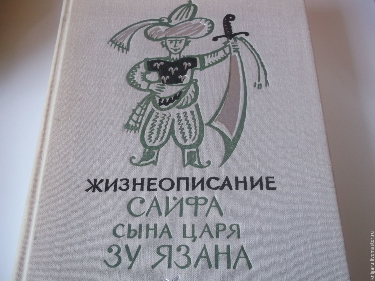 Жизнеописание. Сайф сын царя ЗУ язана. Жизнеописание Сайфа сына царя ЗУ язана эпосы. Сын царя книга.