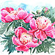 painting watercolor Pink peonies, Pictures, Penza,  Фото №1