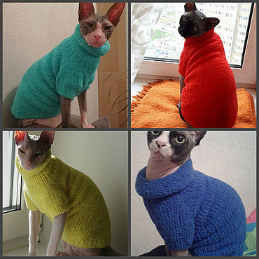 Вязаная одежда для собак и кошек – купить в интернет-магазине webmaster-korolev.ru с доставкой