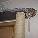 Order High scratching post 'Everest' (for large cats). Workshop for dogs and cats. Livemaster. . Scratching Post Фото №3