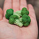 broccoli, Miniature figurines, Kovrov,  Фото №1