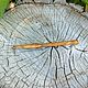 Крючок для вязания 9 мм Натуральное дерево Вишня. K14. Крючки. ART OF SIBERIA. Интернет-магазин Ярмарка Мастеров.  Фото №2