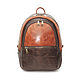  Backpack leather female brown Leona Mod R43-602-1, Backpacks, St. Petersburg,  Фото №1