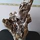 Пень дрифтвуд driftwood, Элементы интерьера, Горячий Ключ,  Фото №1