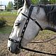 Bridle "Steppe" or "Cossack"with rein, Handmade, Bridles, Kirov,  Фото №1